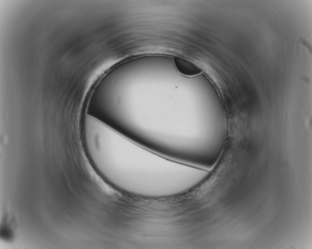 X0000095940995200801110850
