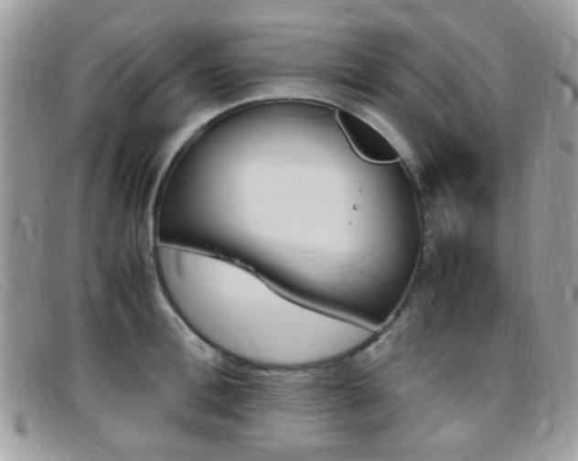 X0000095940996200801110850