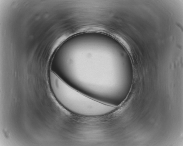 X0000095940997200801110850