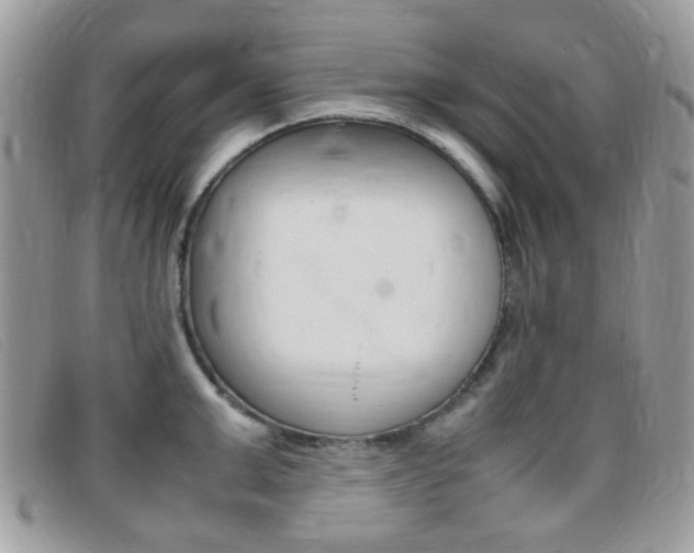 X0000095940999200801110850