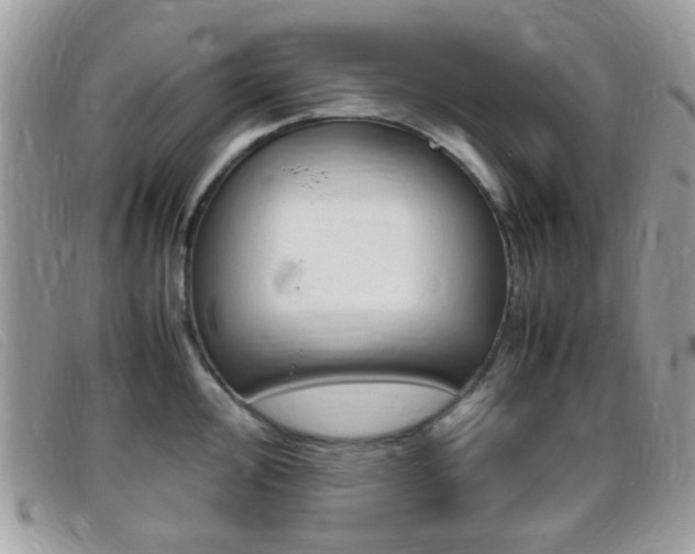 X0000095941000200801110850