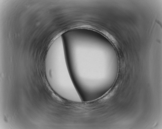X0000095941001200801110850