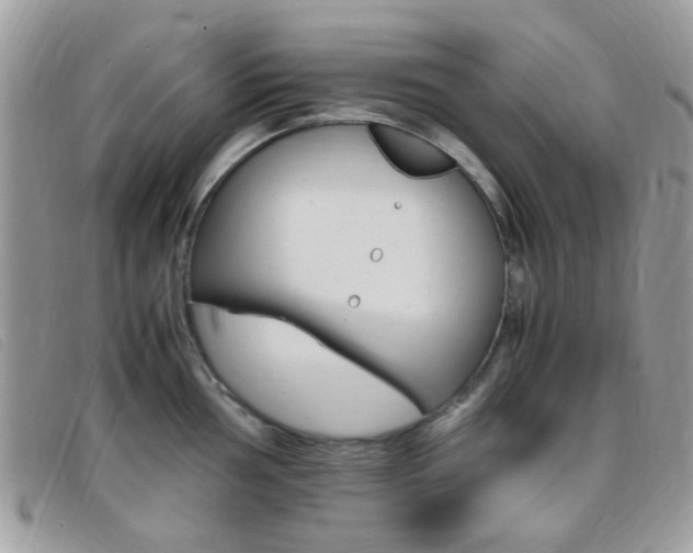 X0000095941002200801110850