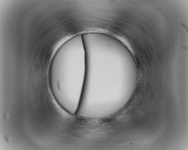X0000095941003200801110850