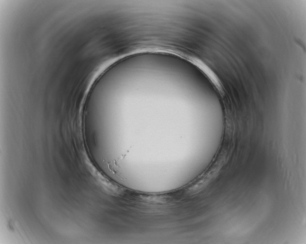 X0000095941004200801110850