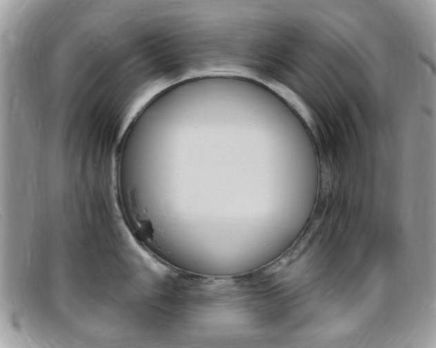 X0000095941006200801110850
