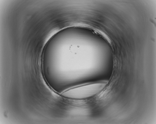 X0000095941007200801110850