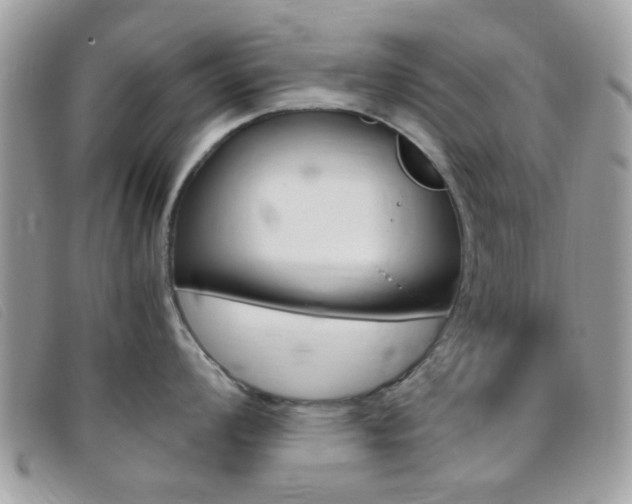 X0000095941008200801110850