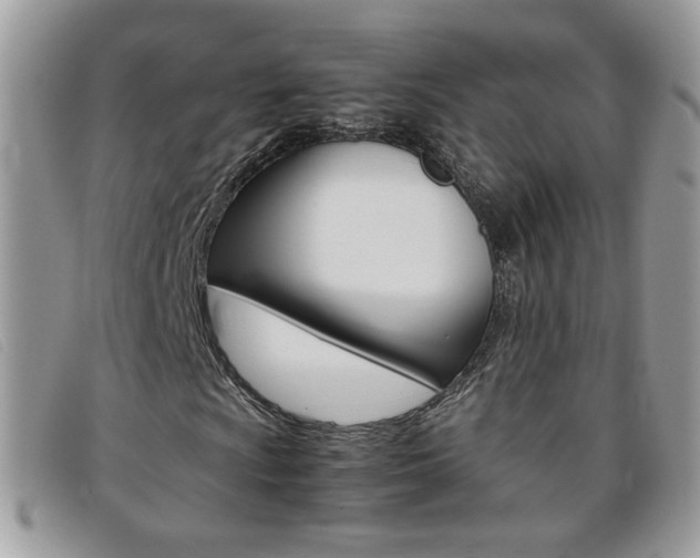 X0000095941009200801110850