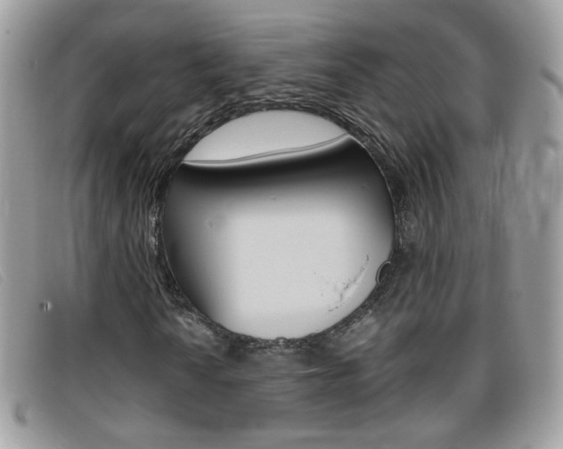 X0000095941010200801110850