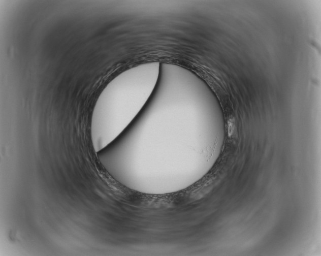 X0000095941011200801110850