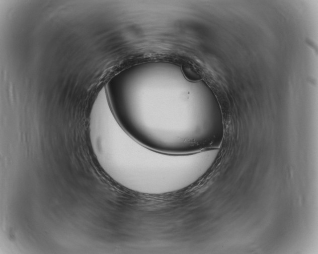 X0000095941012200801110850