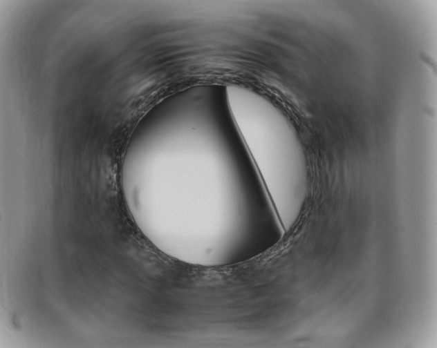 X0000095941013200801110850