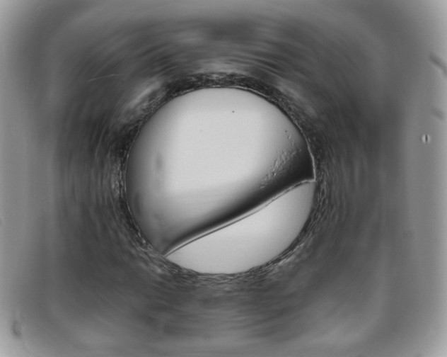 X0000095941014200801110850