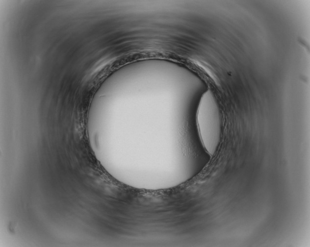 X0000095941015200801110850