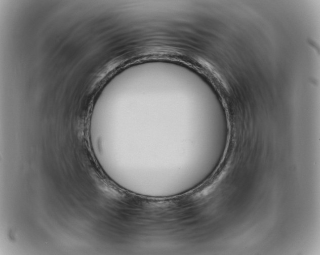 X0000095941017200801110850