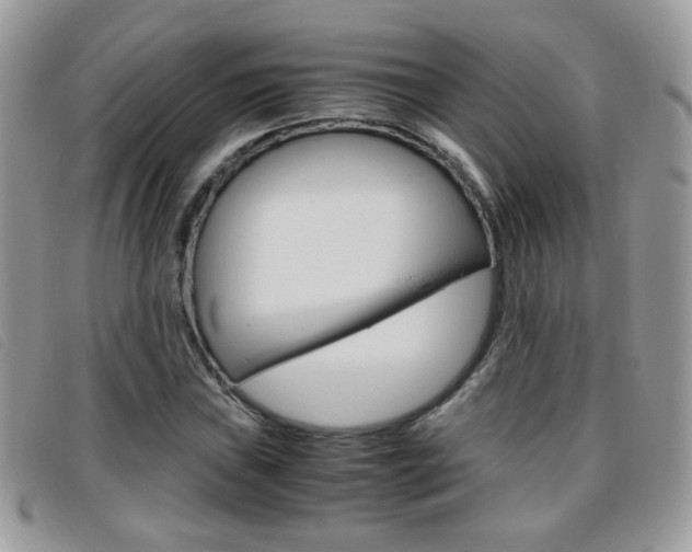 X0000095941019200801110850
