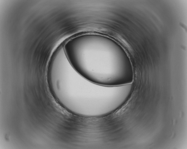 X0000095941020200801110850