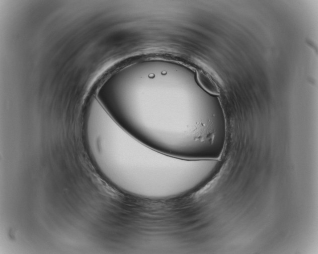 X0000095941021200801110850
