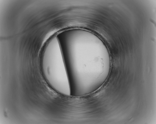 X0000095941022200801110850