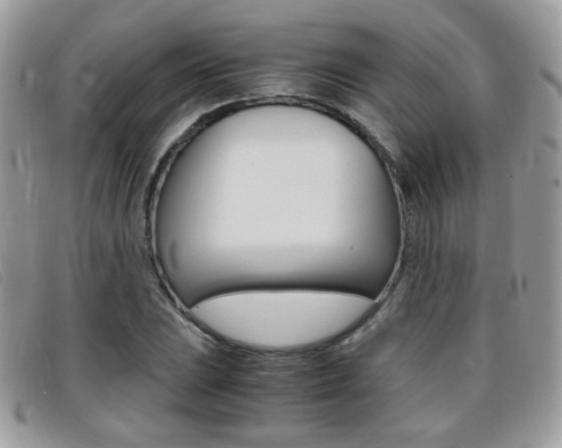 X0000095941023200801110850