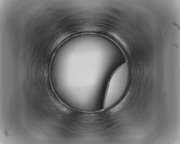 X0000095941025200801110850