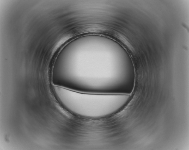 X0000095941026200801110850