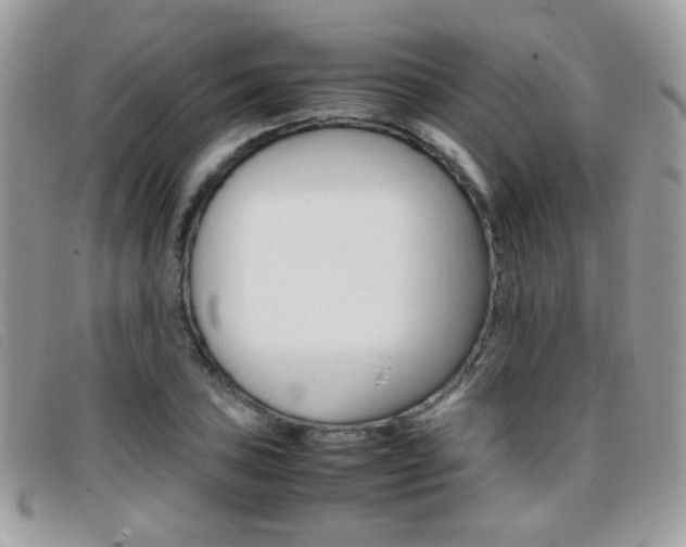 X0000095941027200801110850