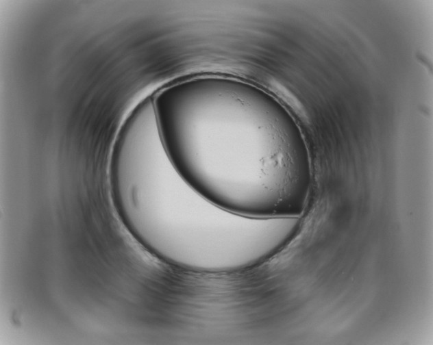 X0000095941028200801110850