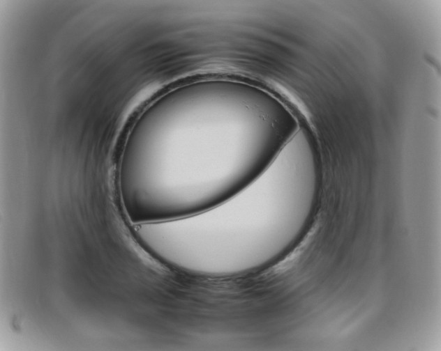 X0000095941029200801110850