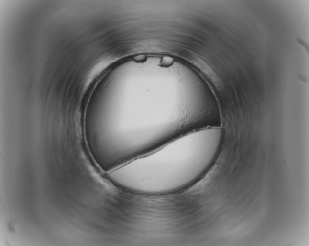 X0000095941030200801110850