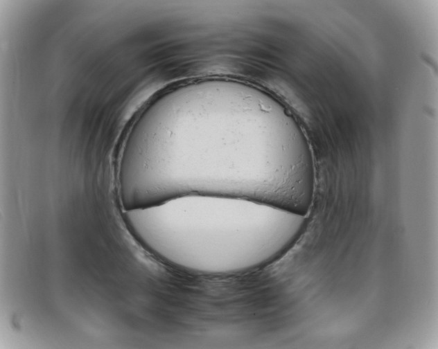 X0000095941031200801110850