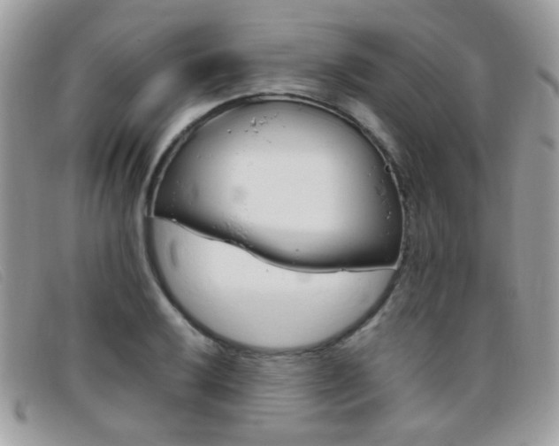X0000095941032200801110850