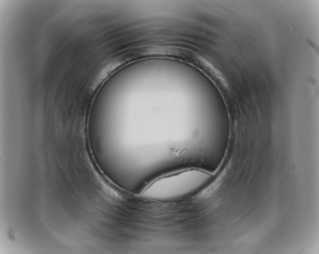 X0000095941033200801110850