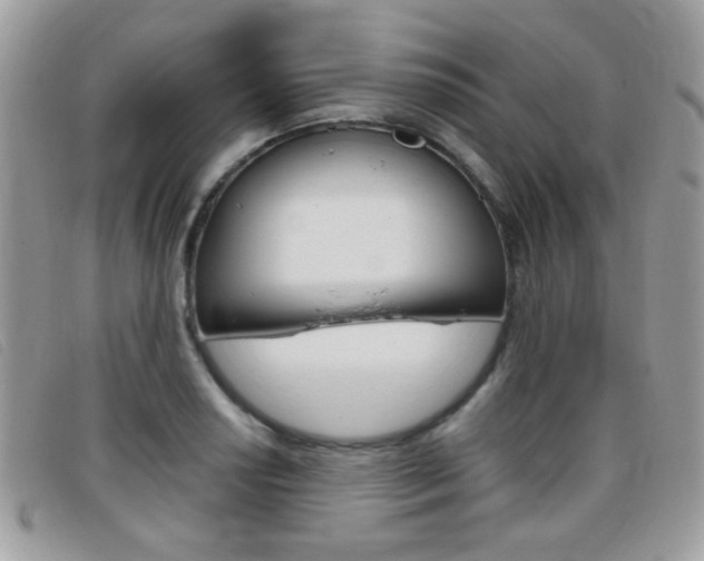 X0000095941034200801110850