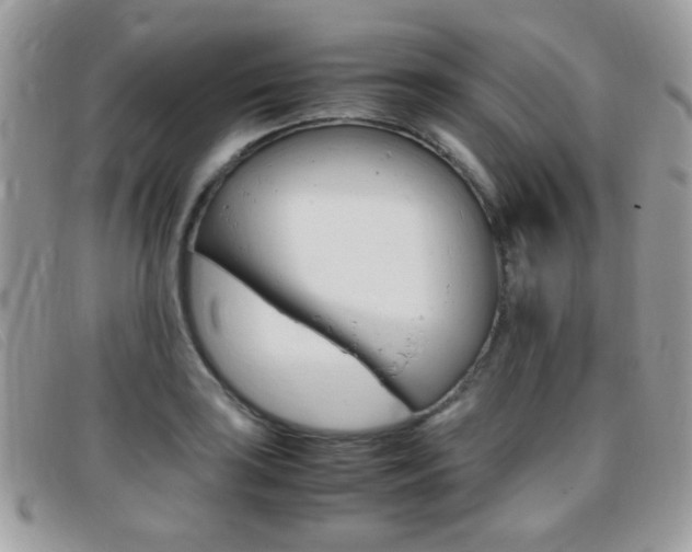 X0000095941035200801110850