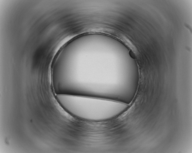 X0000095941036200801110850