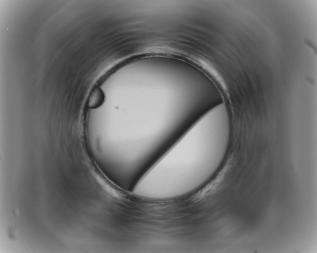 X0000095941037200801110850