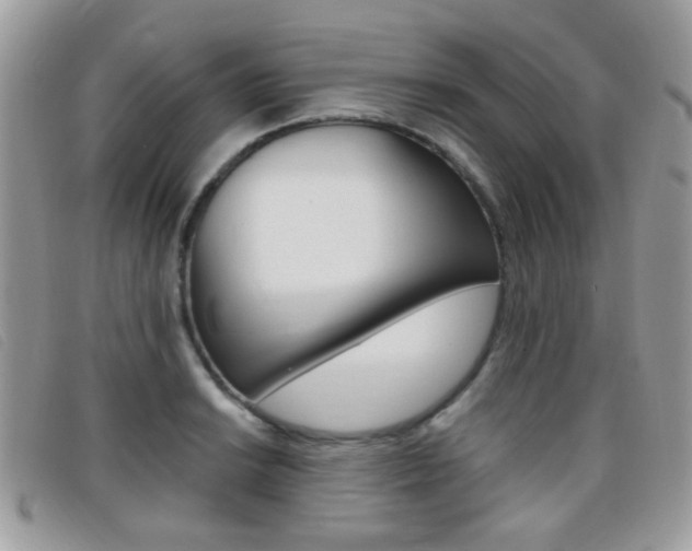 X0000095941038200801110850