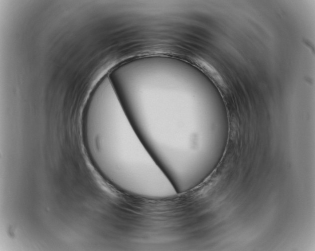 X0000095941039200801110850