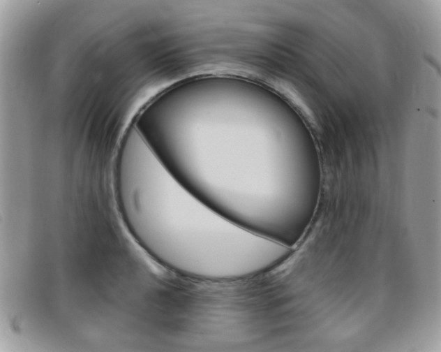 X0000095941040200801110850
