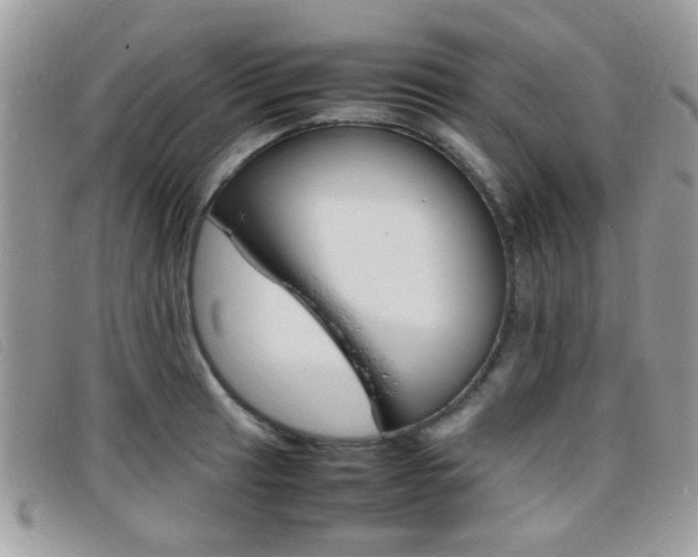 X0000095941041200801110850