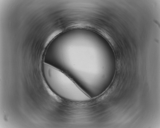 X0000095941042200801110850
