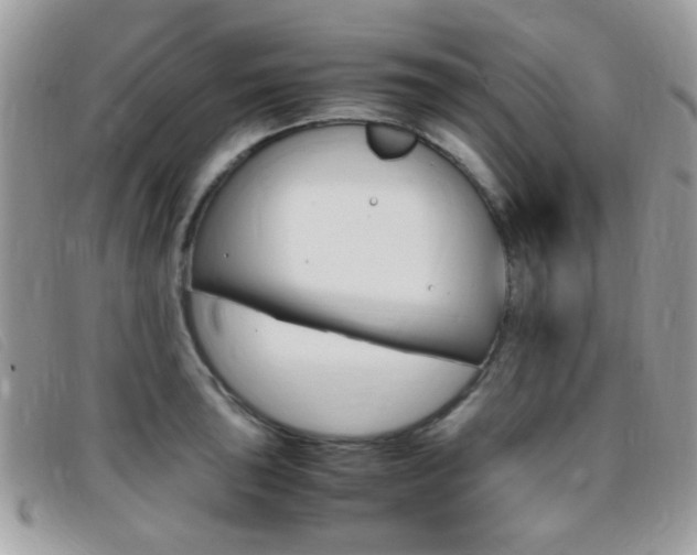 X0000095941043200801110850