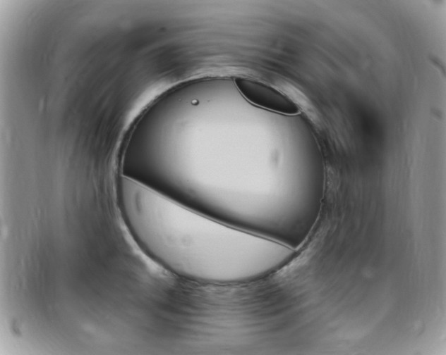 X0000095941046200801110850