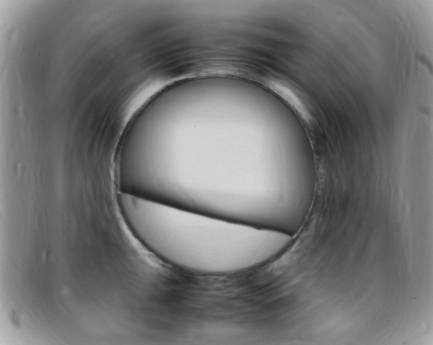 X0000095941047200801110850