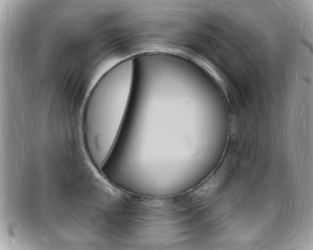 X0000095941048200801110850