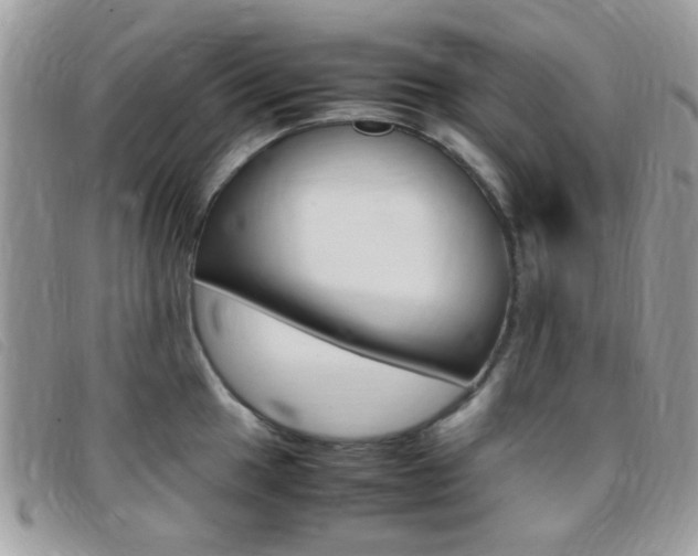 X0000095941049200801110850