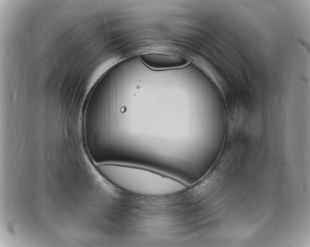 X0000095941050200801110850