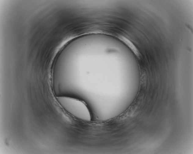 X0000095941051200801110850